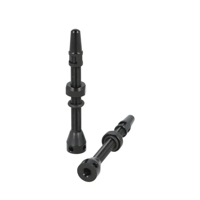 Nejlepší Cena ventilek CST Tubeless černý 2ks FV60mm