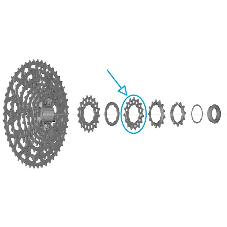 Pouze Dnes pastorek Shimano CS-LG700 15z.