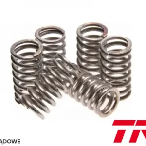 TRW ZF spojkové pružiny HONDA CR 250 94-07, CB 400 SUPER FOUR 99-05, CRF 450 R 02-08, CRF 450 X 05-14, TRX 700 XX 08-11, SUZUKI RM 93-95, (EBS032) Cenový Hit