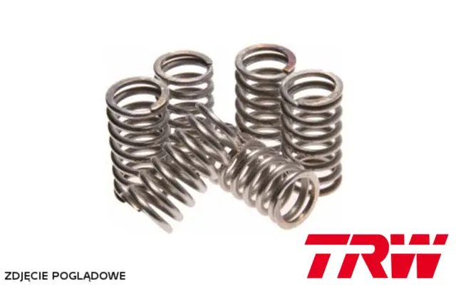 TRW ZF spojkové pružiny HONDA CR 250 94-07, CB 400 SUPER FOUR 99-05, CRF 450 R 02-08, CRF 450 X 05-14, TRX 700 XX 08-11, SUZUKI RM 93-95, (EBS032) Cenový Hit
