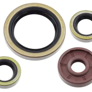 Výhodná Nabídka PSYCHIC sada gufer motoru KTM EXC-F 450 / 500 17-24, SX-F / XC-F 450 16-22, XCF-W 450 23-24, HUSQVARNA FC / FE / FS / FX 450 / 501 17-24, GAS GAS EX / MC 450 F 21-24 (822374)
