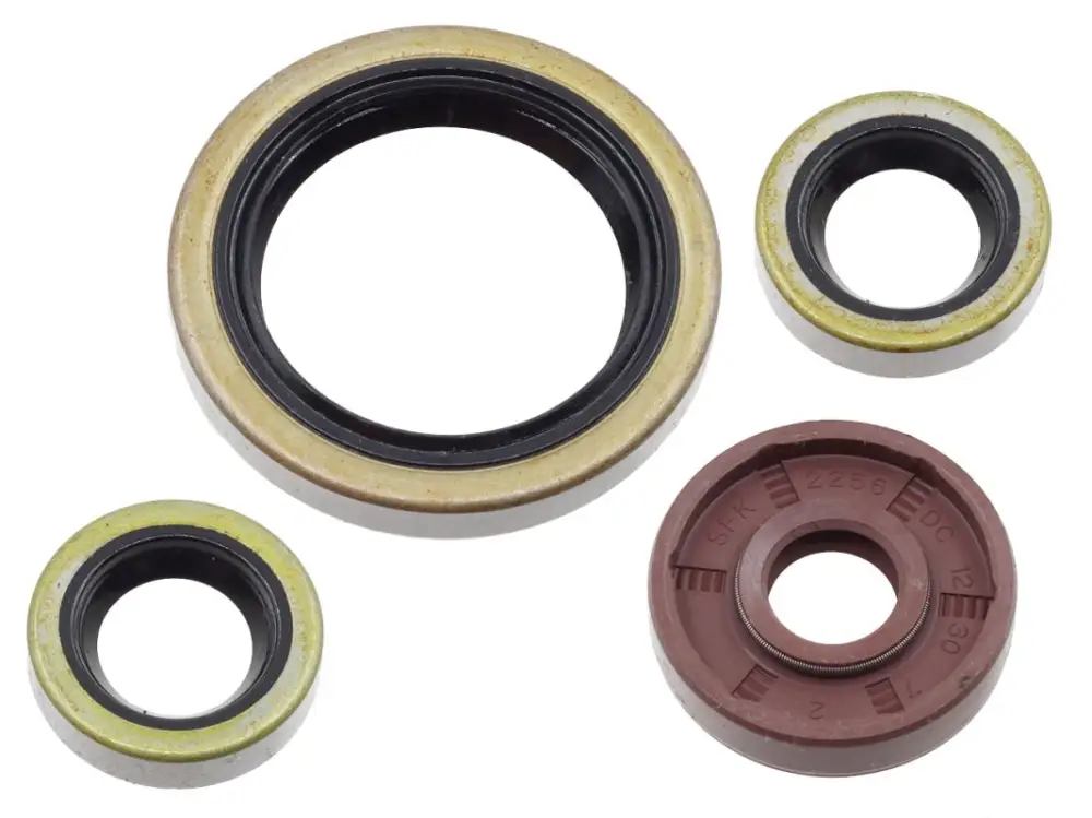 Výhodná Nabídka PSYCHIC sada gufer motoru KTM EXC-F 450 / 500 17-24, SX-F / XC-F 450 16-22, XCF-W 450 23-24, HUSQVARNA FC / FE / FS / FX 450 / 501 17-24, GAS GAS EX / MC 450 F 21-24 (822374)