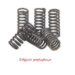 Víkendová Akce PSYCHIC spojkové pružiny KAWASAKI KLX 450R 08-12, KX 450F 06-11